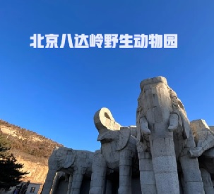 北京八达岭野生动物世界